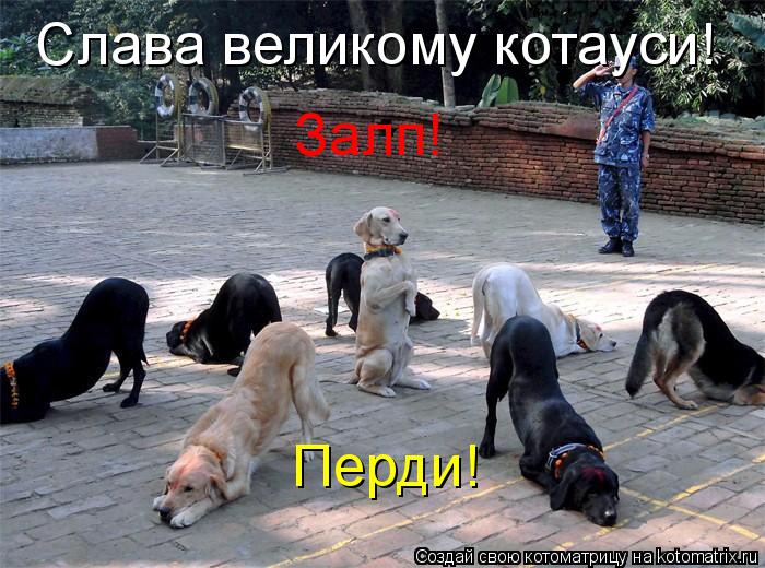 Слава великому котауси! Залп! Перди!... Котоматрица: Слава великому котауси! Залп! Перди!