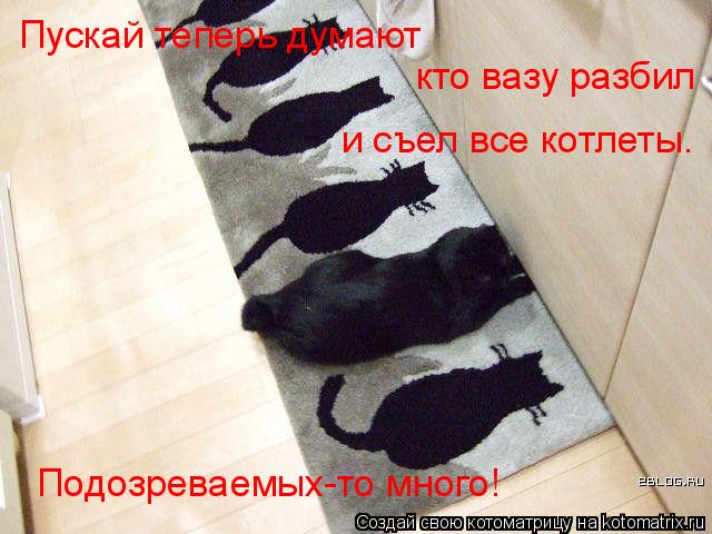 Котоматрица: Пускай теперь думают  кто вазу разбил и съел все котлеты. Подозреваемых-то много!