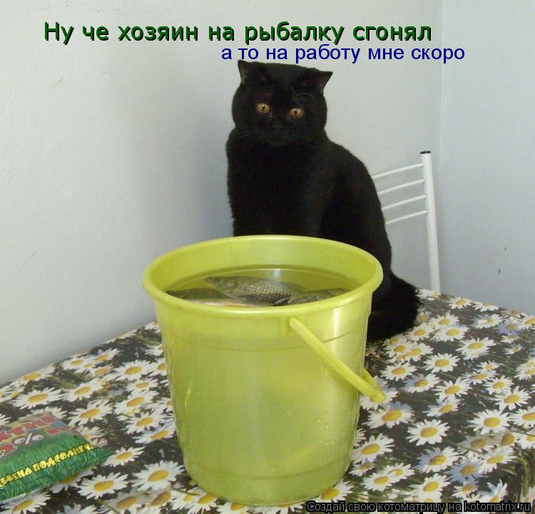 Ну че хозяин на рыбалку сгонял а то на работу мне скоро... Котоматрица: Ну че хозяин на рыбалку сгонял а то на работу мне скоро