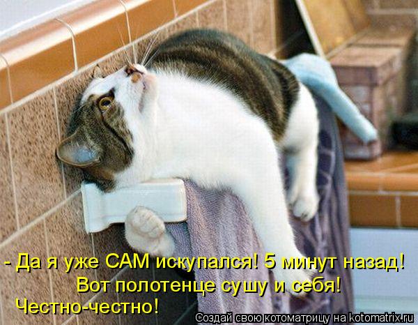 Котоматрица: - Да я уже САМ искупался! 5 минут назад! Вот полотенце сушу и себя! Честно-честно!