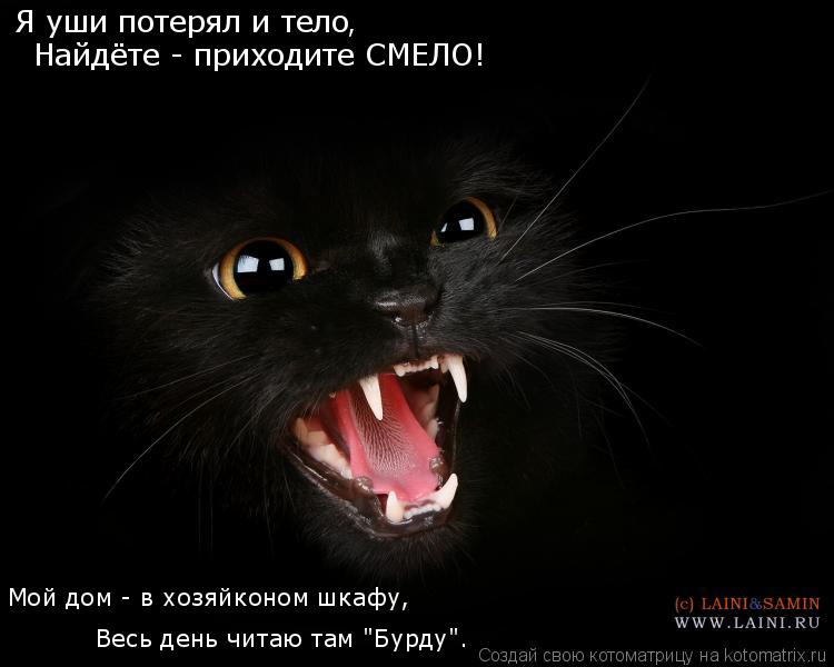 Я уши потерял и тело Найдёте - приходите СМЕЛО! , Мой дом - в хозяйконом шкафу, Весь день читаю там "... Котоматрица: Я уши потерял и тело Найдёте - приходите СМЕЛО! , Мой дом - в хозяйконом шкафу, Весь день читаю там "Бурду".