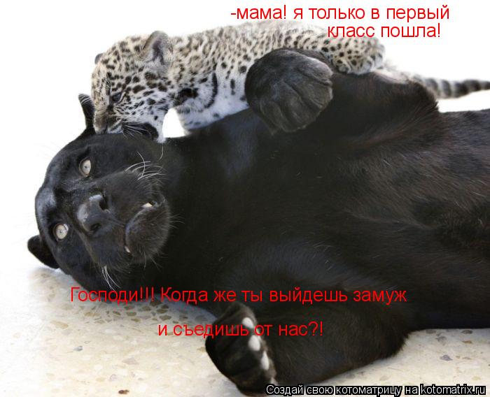 Господи!!! Когда же ты выйдешь замуж и съедишь от нас?! -мама! я только в первый класс пошла!... Котоматрица: Господи!!! Когда же ты выйдешь замуж и съедишь от нас?! -мама! я только в первый класс пошла!