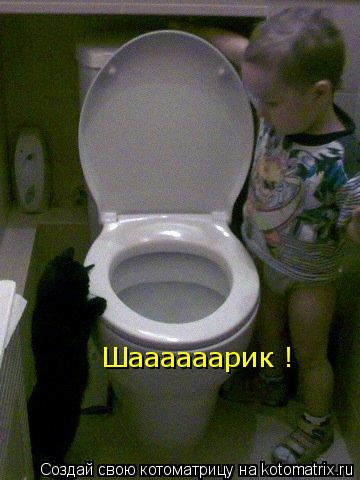 Шаааааарик !... Котоматрица: Шаааааарик !