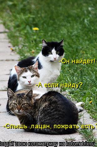 -Слышь ,пацан, пожрать есть? -А если найду? -Он найдёт!... Котоматрица: -Слышь ,пацан, пожрать есть? -А если найду? -Он найдёт!