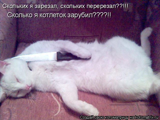 Котоматрица: Скольких я зарезал, скольких перерезал??!!! Сколько я котлеток зарубил????!!