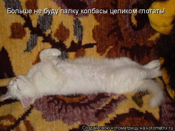 Больше не буду палку колбасы целиком глотать!... Котоматрица: Больше не буду палку колбасы целиком глотать!