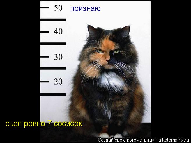признаю сьел ровно 7 сосисок... Котоматрица: признаю сьел ровно 7 сосисок