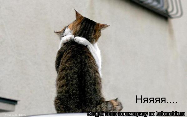 Няяяя....... Котоматрица: Няяяя....
