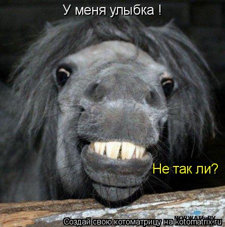 Котоматрица: У меня улыбка ! Не так ли?
