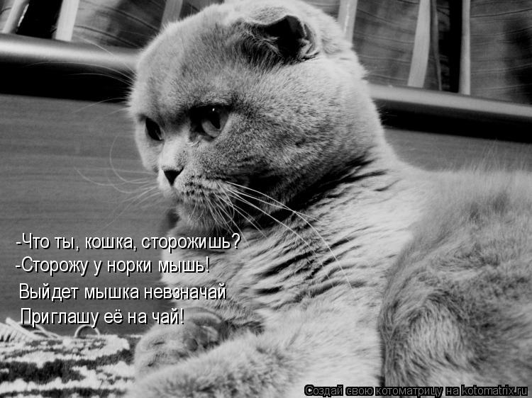 -Что ты, кошка, сторожишь? -Сторожу у норки мышь! Выйдет мышка невзначай Выйдет мышка невзначай Пригл... Котоматрица: -Что ты, кошка, сторожишь? -Сторожу у норки мышь! Выйдет мышка невзначай Выйдет мышка невзначай Приглашу её на чай!