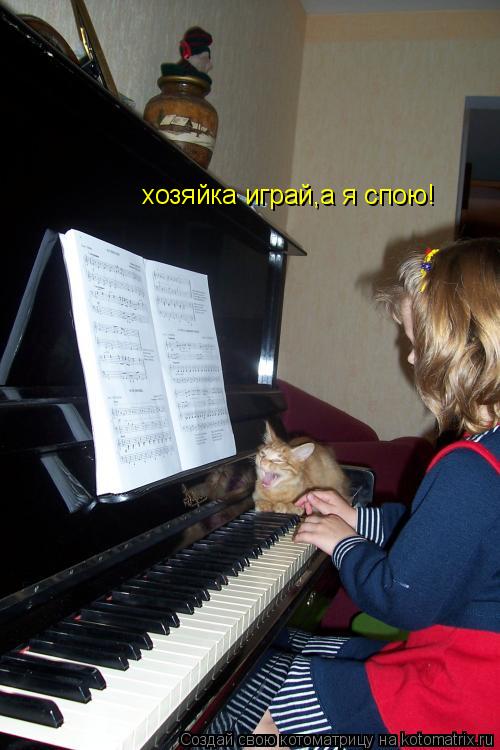 хозяйка играй,а я спою!... Котоматрица: хозяйка играй,а я спою!