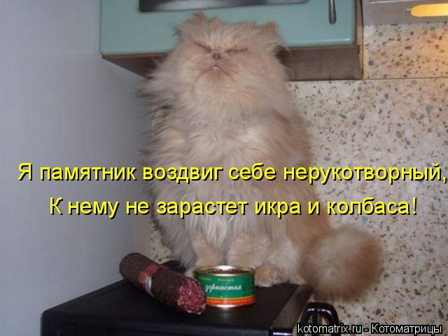 К нему не зарастет икра и колбаса! Я памятник воздвиг себе нерукотворный,... Котоматрица: К нему не зарастет икра и колбаса! Я памятник воздвиг себе нерукотворный,