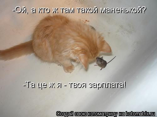 -Та це ж я - твоя зарплата! -Ой, а кто ж там такой маненькой?... Котоматрица: -Та це ж я - твоя зарплата! -Ой, а кто ж там такой маненькой?