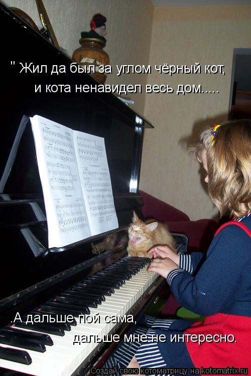 Жил да был за углом чёрный кот, и кота ненавидел весь дом..... .А дальше пой сама, дальше мне не инте... Котоматрица: Жил да был за углом чёрный кот, и кота ненавидел весь дом..... .А дальше пой сама, дальше мне не интересно. "