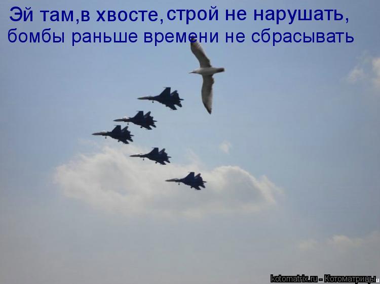 Эй там,в хвосте, строй не нарушать, бомбы раньше времени не сбрасывать... Котоматрица: Эй там,в хвосте, строй не нарушать, бомбы раньше времени не сбрасывать