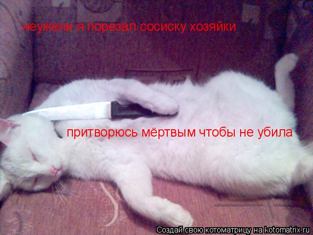 неужели я порезал сосиску хозяйки притворюсь мёртвым чтобы не убила... Котоматрица: неужели я порезал сосиску хозяйки притворюсь мёртвым чтобы не убила