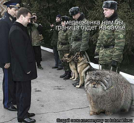 медвеженка нам бы... граница будет на замке...... Котоматрица: медвеженка нам бы... граница будет на замке...