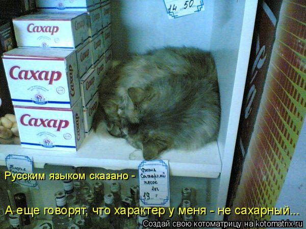 А еще говорят, что характер у меня - не сахарный... Русским языком сказано -... Котоматрица: А еще говорят, что характер у меня - не сахарный... Русским языком сказано -