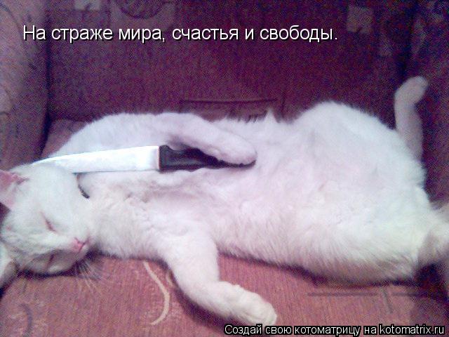 На страже мира, счастья и свободы.... Котоматрица: На страже мира, счастья и свободы.