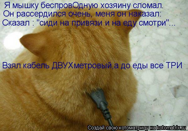 Я мышку беспровОдную хозяину сломал. Он рассердился очень, меня он наказал: Сказал : "сиди на привязи... Котоматрица: Я мышку беспровОдную хозяину сломал. Он рассердился очень, меня он наказал: Сказал : "сиди на привязи и на еду смотри"... Взял кабель ДВУХметро