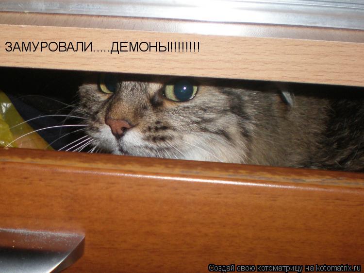 Котоматрица: ЗАМУРОВАЛИ.....ДЕМОНЫ!!!!!!!!