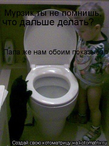 Котоматрица: Мурзик,ты не помнишь, что дальше делать?  Папа же нам обоим показывал.