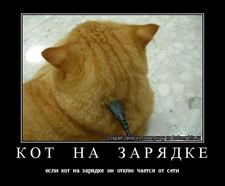кот на зарядке если кот на зарядке он отклю чается от сети... Котоматрица: кот на зарядке если кот на зарядке он отклю чается от сети