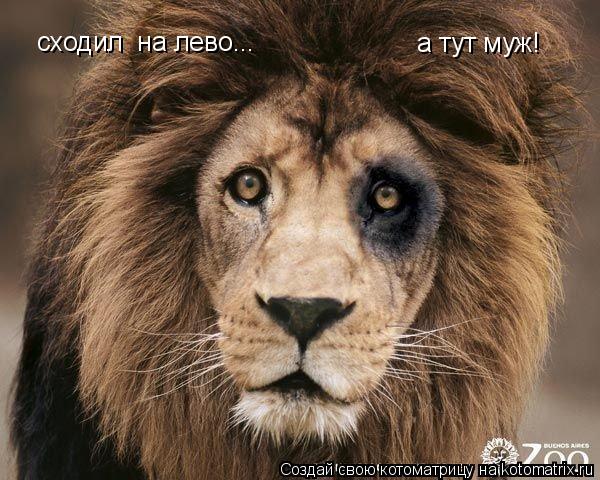сходил на лево... а тут муж!... Котоматрица: сходил на лево... а тут муж!