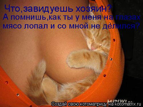 Котоматрица: Что,завидуешь хозяин? А помнишь,как ты у меня на глазах  мясо лопал и со мной не делился?