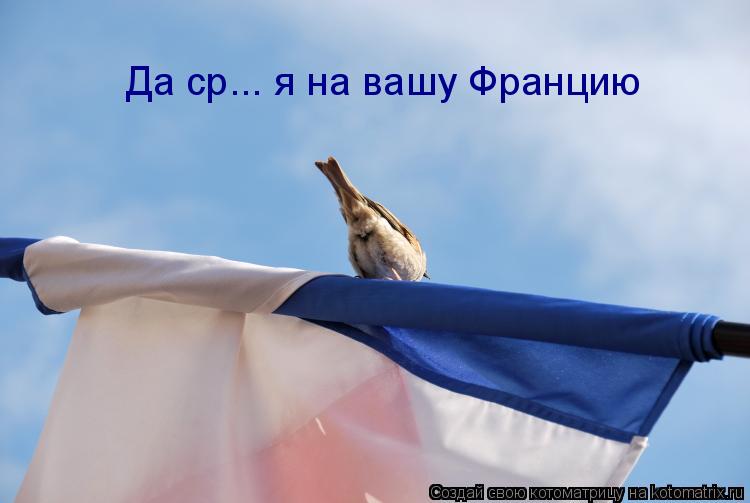 Котоматрица: Да ср... я на вашу Францию