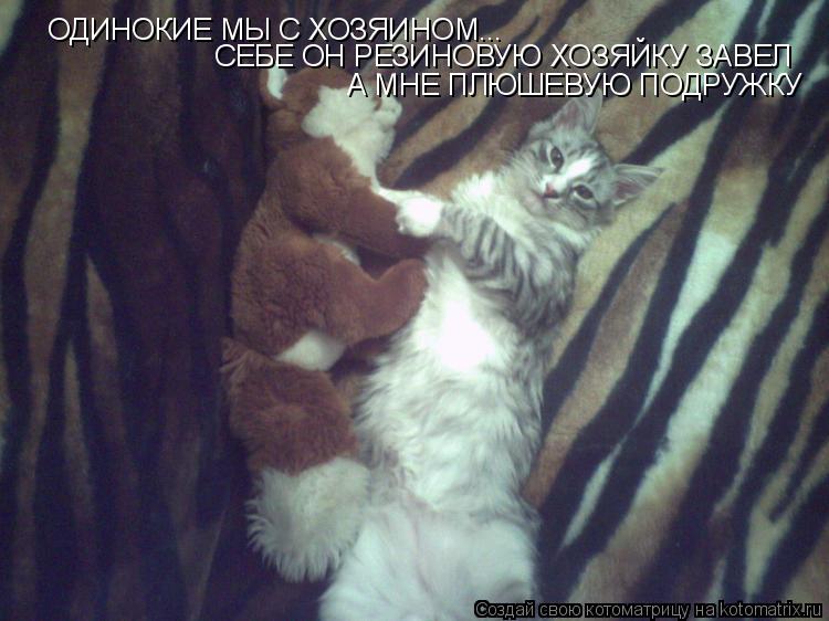 ОДИНОКИЕ МЫ С ХОЗЯИНОМ... СЕБЕ ОН РЕЗИНОВУЮ ХОЗЯЙКУ ЗАВЕЛ А МНЕ ПЛЮШЕВУЮ ПОДРУЖКУ... Котоматрица: ОДИНОКИЕ МЫ С ХОЗЯИНОМ... СЕБЕ ОН РЕЗИНОВУЮ ХОЗЯЙКУ ЗАВЕЛ А МНЕ ПЛЮШЕВУЮ ПОДРУЖКУ