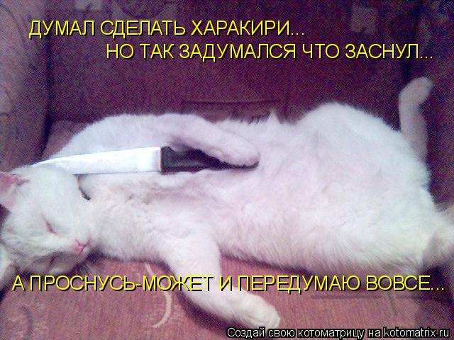 ДУМАЛ СДЕЛАТЬ ХАРАКИРИ... НО ТАК ЗАДУМАЛСЯ ЧТО ЗАСНУЛ... А ПРОСНУСЬ-МОЖЕТ И ПЕРЕДУМАЮ ВОВСЕ...... Котоматрица: ДУМАЛ СДЕЛАТЬ ХАРАКИРИ... НО ТАК ЗАДУМАЛСЯ ЧТО ЗАСНУЛ... А ПРОСНУСЬ-МОЖЕТ И ПЕРЕДУМАЮ ВОВСЕ...
