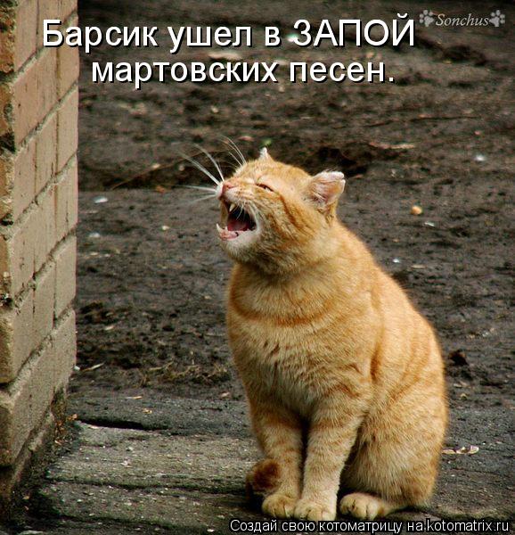 мартовских песен. Барсик ушел в ЗАПОЙ Барсик ушел в ЗАПОЙ... Котоматрица: мартовских песен. Барсик ушел в ЗАПОЙ Барсик ушел в ЗАПОЙ