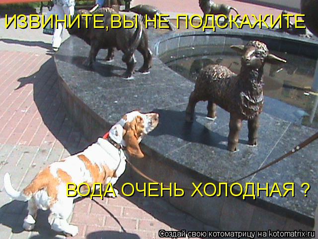ИЗВИНИТЕ,ВЫ НЕ ПОДСКАЖИТЕ ВОДА ОЧЕНЬ ХОЛОДНАЯ ?... Котоматрица: ИЗВИНИТЕ,ВЫ НЕ ПОДСКАЖИТЕ ВОДА ОЧЕНЬ ХОЛОДНАЯ ?