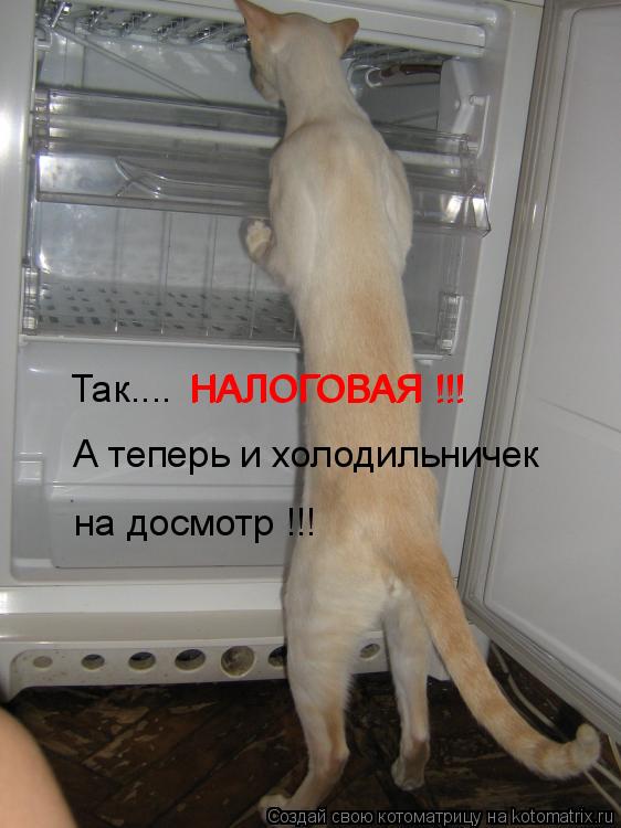 Так.... А теперь и холодильничек на досмотр !!! НАЛОГОВАЯ !!! НАЛОГОВАЯ !!!... Котоматрица: Так.... А теперь и холодильничек на досмотр !!! НАЛОГОВАЯ !!! НАЛОГОВАЯ !!!