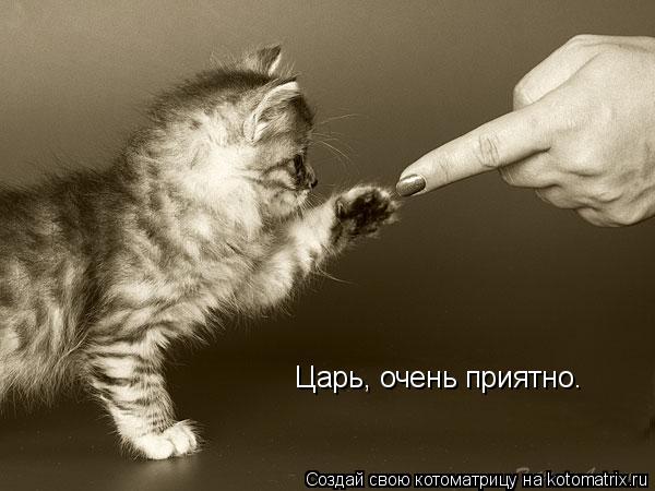 Котоматрица: Царь, очень приятно.