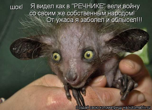 Котоматрица: шок! Я видел как в "РЕЧНИКЕ" вели войну со своим же собственным народом! От ужаса я заболел и облысел!!!