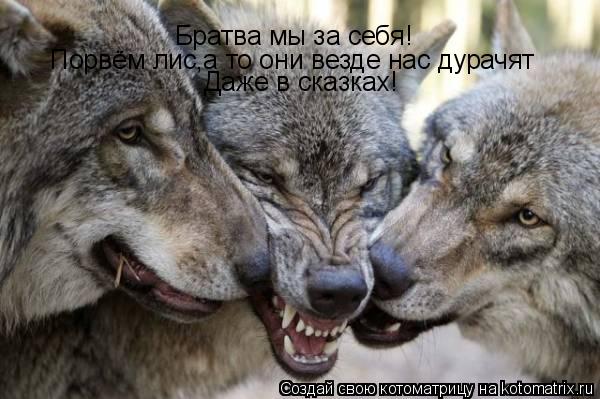 Братва мы за себя! Порвём лис,а то они везде нас дурачят Даже в сказках!... Котоматрица: Братва мы за себя! Порвём лис,а то они везде нас дурачят Даже в сказках!