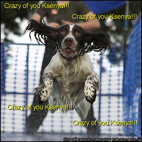 Crazy of you Ksenya!!! Crazy of you Ksenya!!! Crazy of you Ksenya!!! Crazy of you Ksenya!!!... Котоматрица: Crazy of you Ksenya!!! Crazy of you Ksenya!!! Crazy of you Ksenya!!! Crazy of you Ksenya!!!