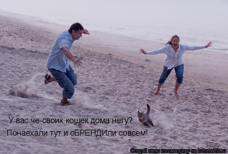 У вас че-своих кошек дома нету? Понаехали тут и сБРЕНДИли совсем!... Котоматрица: У вас че-своих кошек дома нету? Понаехали тут и сБРЕНДИли совсем!