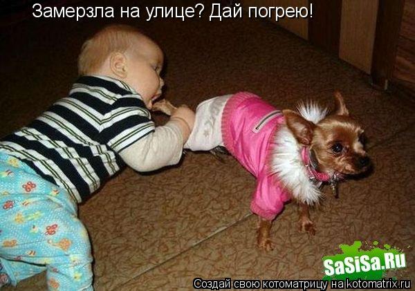 Замерзла на улице? Дай погрею!... Котоматрица: Замерзла на улице? Дай погрею!