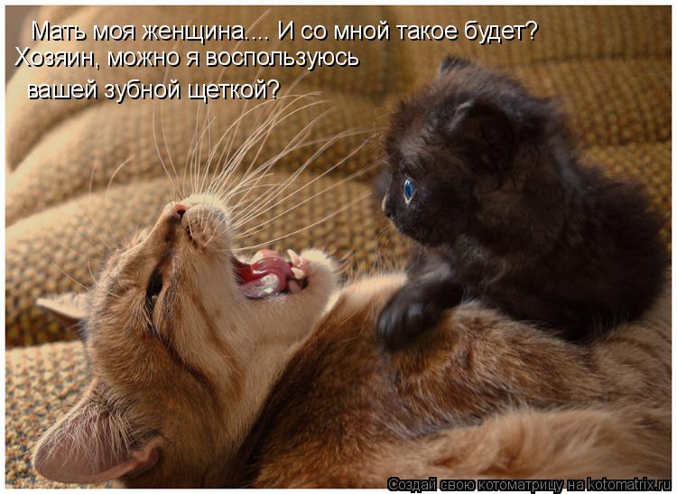 Мать моя женщина.... Хозяин, можно я воспользуюсь вашей зубной щеткой? И со мной такое будет?... Котоматрица: Мать моя женщина.... Хозяин, можно я воспользуюсь вашей зубной щеткой? И со мной такое будет?
