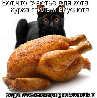 Вот,что счастье для кота курка гриль,и вкуснота... Котоматрица: Вот,что счастье для кота курка гриль,и вкуснота