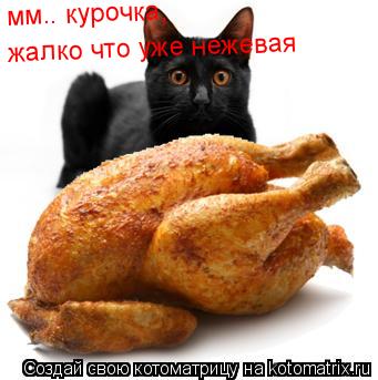 мм.. курочка,только жаль что она нежевая.А то так невесело;( мм.. курочка, мм.. курочка, жалко что уж... Котоматрица: мм.. курочка,только жаль что она нежевая.А то так невесело;( мм.. курочка, мм.. курочка, жалко что уже нежевая жалко что уже нежевая