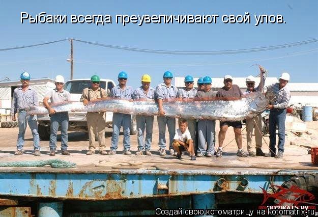Рыбаки всегда преувеличивают свой улов.... Котоматрица: Рыбаки всегда преувеличивают свой улов.