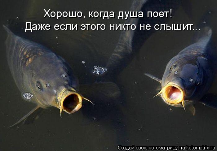 Котоматрица: Хорошо, когда душа поет! Даже если этого никто не слышит...