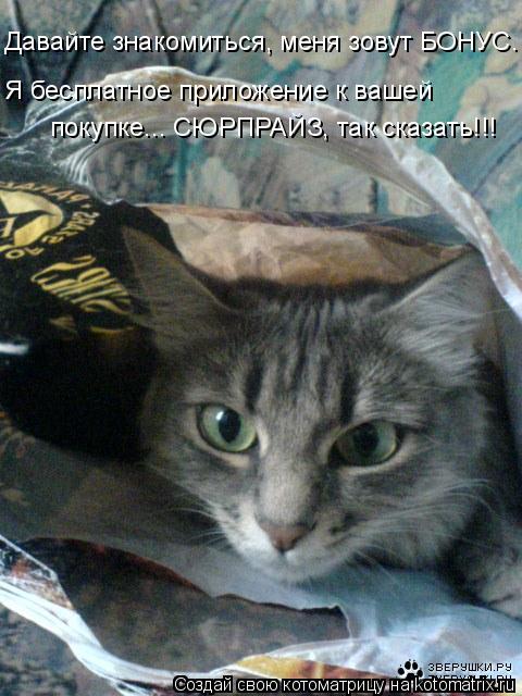 Давайте знакомиться, меня зовут БОНУС. Я бесплатное приложение к вашей покупке... СЮРПРАЙЗ, так сказ... Котоматрица: Давайте знакомиться, меня зовут БОНУС. Я бесплатное приложение к вашей покупке... СЮРПРАЙЗ, так сказать!!!