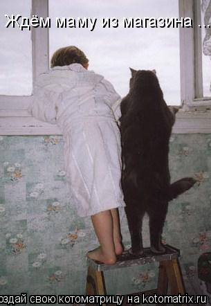 Ждём маму из магазина ...... Котоматрица: Ждём маму из магазина ...