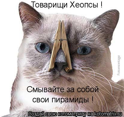 Товарищи Хеопсы ! Смывайте за собой свои пирамиды !... Котоматрица: Товарищи Хеопсы ! Смывайте за собой свои пирамиды !