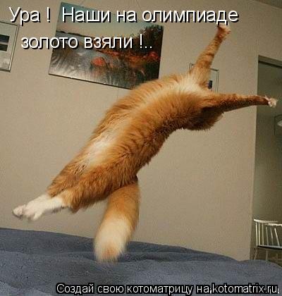 Ура ! Наши на олимпиаде золото взяли !..... Котоматрица: Ура ! Наши на олимпиаде золото взяли !..
